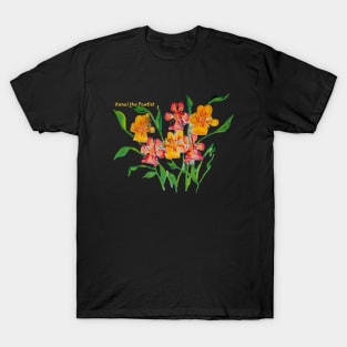 Kenai oranges T-Shirt